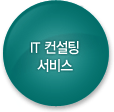 IT 컨설팅 서비스